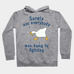 Surely Not Everybody Was Kung Fu Fighting Funny Hoodie